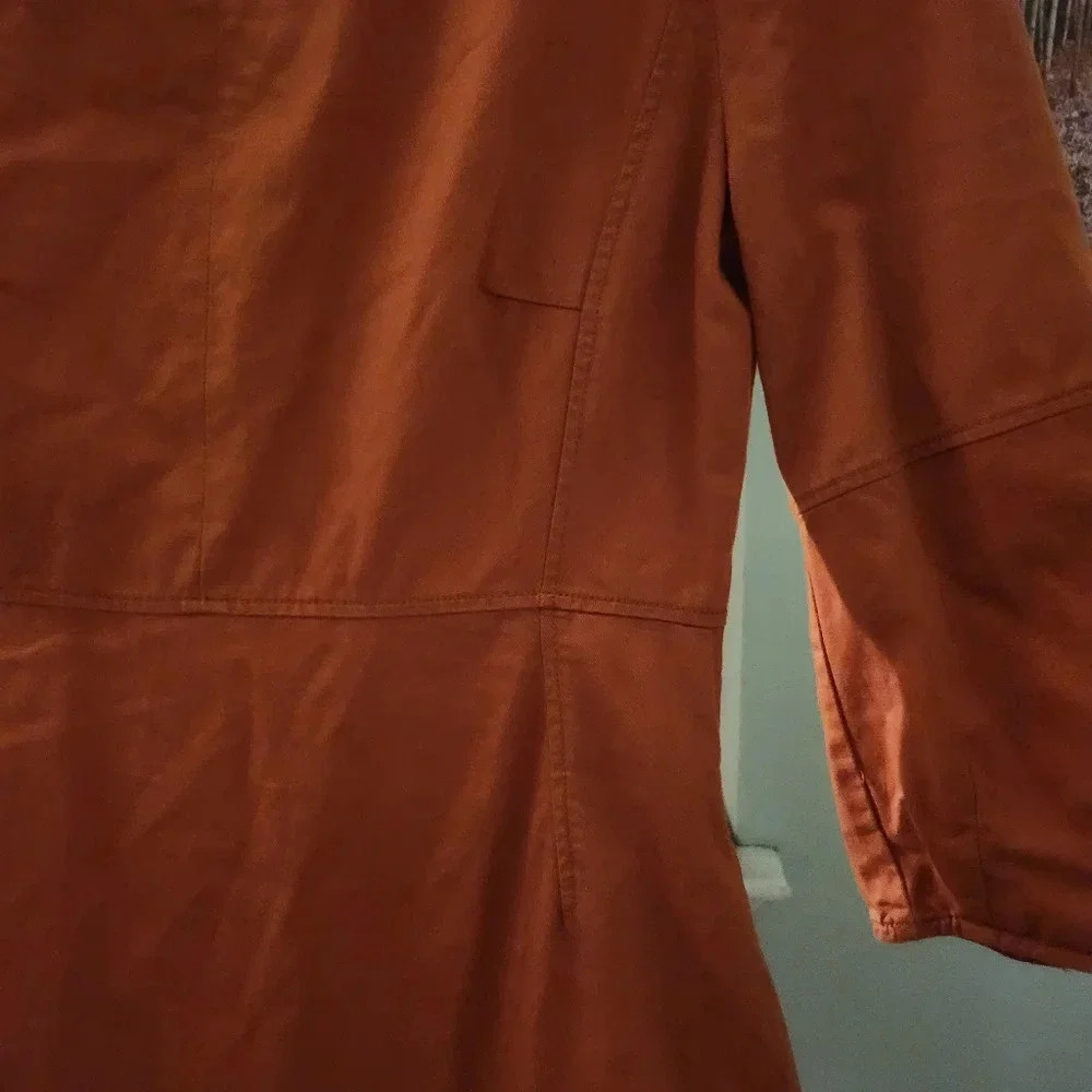 ZARA Pilgrim dress - Picture 4 of 11
